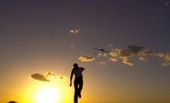 STRIX Goblin - High Performance FPV Plank - KIT -Drone Parts Store stx170009a 02 1