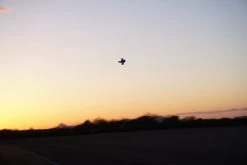 STRIX Goblin - High Performance FPV Plank - KIT -Drone Parts Store stx170009a 03 1