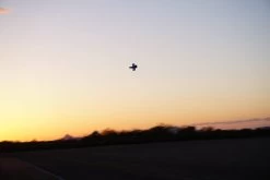 STRIX Goblin FPV Plank Choose Your Electronics ARF -Drone Parts Store stx170009a 03